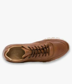 Homme Bocage Baskets><noscript><img data-lazyloaded=